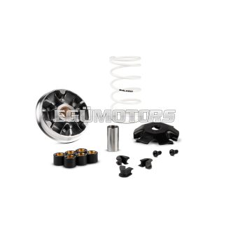 Malossi VARIATOR MULTIVAR 2000