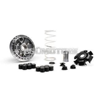 MULTIVAR 2000 variator