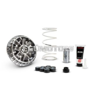 MULTIVAR 2000 variator