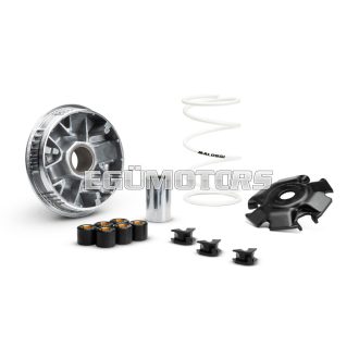 MULTIVAR 2000 variator