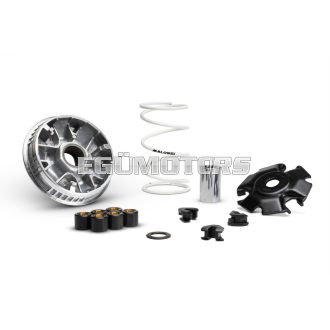 MULTIVAR 2000 variator