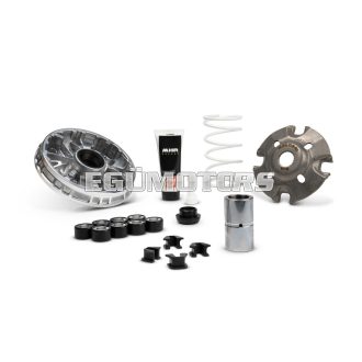 MULTIVAR 2000 variator