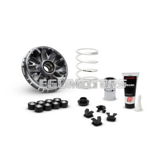 MULTIVAR 2000 variator