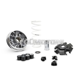 MULTIVAR 2000 variator