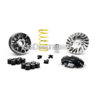 MULTIVAR 2000 variator