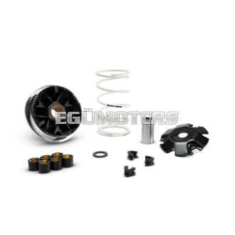 MULTIVAR 2000 variator