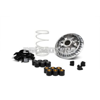 MULTIVAR 2000 variator