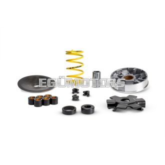 Malossi VARIAT.MULTIVAR PIAGGIO motorcycles