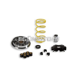 Malossi VARIATOR MULTIVAR for SCOOTER