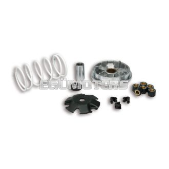 Malossi VARIATOR MULTIVAR for SCOOTER
