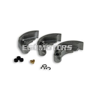 Malossi SET WGT for MAXI DELTA CLUTCH