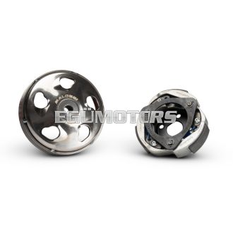 MAXI DELTA SYSTEM clutch and bell Ø 125