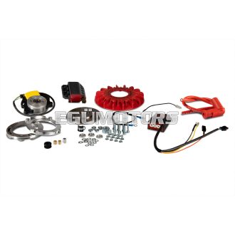 Malossi MHR TEAM II INNER ROTOR IGNITION cone 20