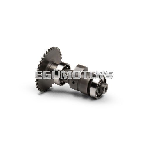 Malossi POWER CAM camshaft