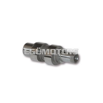 Malossi POWER CAM camshaft