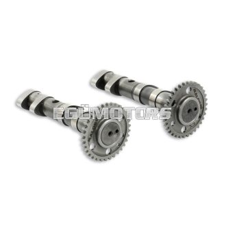 Malossi Double POWER CAM camshaft