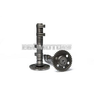 Malossi Double POWER CAM camshaft