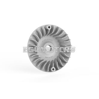 Malossi VENTILVAR 2000 half-pulley 163