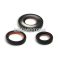 Malossi OIL-SEAL SET FKM/PTFE for OVERHAUL VESPA ET3-PK-SPECIAL 1st series
