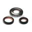 Malossi OIL-SEAL SET FKM/PTFE for OVERHAUL VESPA ET3-PK-SPECIAL 1st series