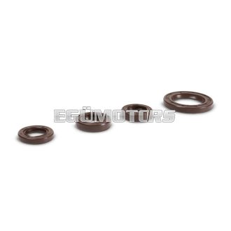 Malossi OVERHAUL szimering szett, PIAGGIO 50 2T