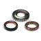 Malossi OIL-SEAL SET FKM/PTFE for OVERHAUL VESPA ETS-PK XL 125