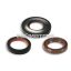 Malossi OIL-SEAL SET FKM/PTFE for OVERHAUL VESPA ETS-PK XL 125
