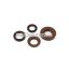 Malossi OIL-SEAL SET FKM/PTFE for OVERHAUL MINAR./YAMA.scooter/QUAD 50 2T