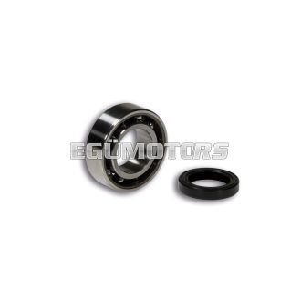 Malossi ROLLER BEARING / OIL-SEAL KIT