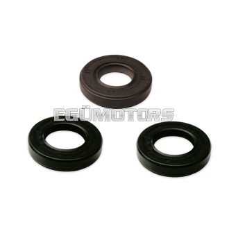   Malossi OIL-SEAL SET FKM/PTFE for OVERHAUL DERBI/PIAGGIO moto 50