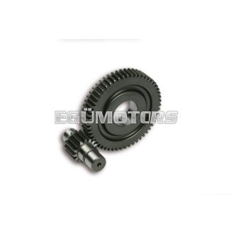 Malossi SECOND.GEARS HTQ z 15/55 (FORCED-17)