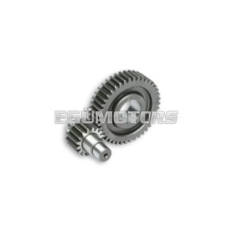 Malossi SECONDARY GEARS HTQ z 16/42