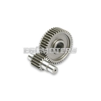 Malossi SECONDARY GEARS HTQ z 14/43