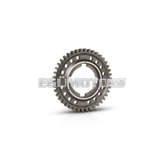 Malossi GEAR WHEELS z 42 SECOND.GEAR (coupl. 48)
