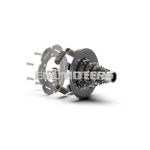 Malossi INPUT SHAFT WITH REPAIR KIT