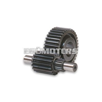 Malossi SECONDARY GEARS HTQ z 17/37