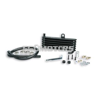 Malossi RADIATOR MHR Honda NSF 100 - W 233,5xH 76 THK 33 mm