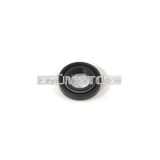 Vízpumpa szimering, Minarelli