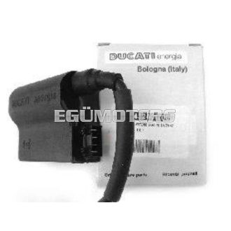 Ducati Energia CDI, Katana