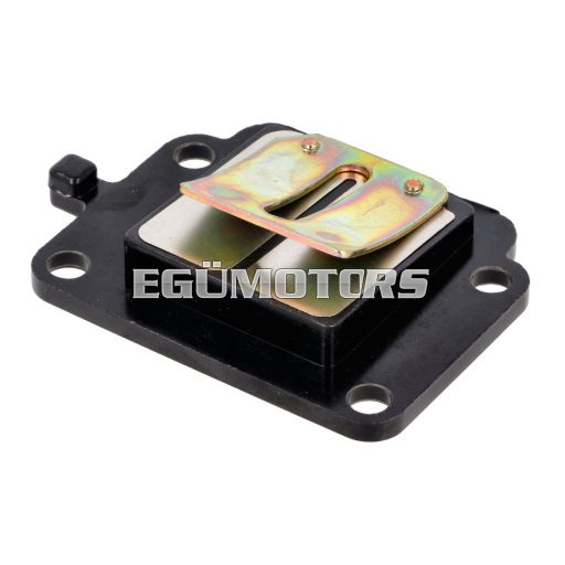 101 Octane membrán, Minarelli álló