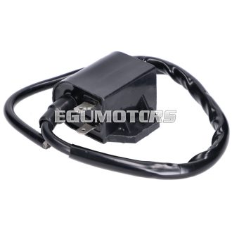 101 Octane gyújtótekercs Suzuki Address, Morini