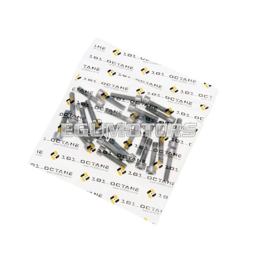 101 Octane imbusz csavar szett,  DIN912 M6x25, rozsdamnetes acél, A2 (25 db)