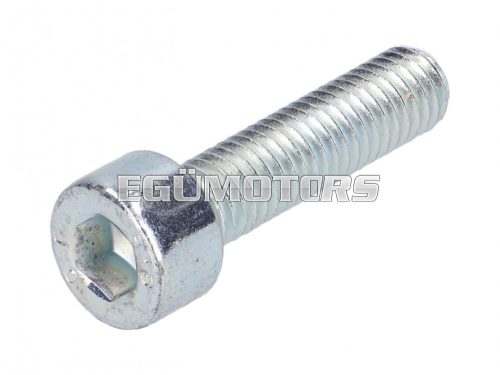 screw M5x20 hexagon socket zinc plated