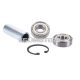 wheel bearing set w/ bushing for Simson S50, S51, S70, S53, S83, SR50, SR80, KR51/1, KR51/2, SR4-2, SR4-3, SR4-4, Schwalbe, Sperber, Star