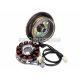 alternator stator and rotor for Minarelli AM6 Moric / Power up w/ E-start