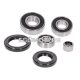 gearbox bearing set w/ oil seals for Piaggio short type