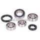 gearbox bearing set w/ oil seals for Daelim E-Five, S-Five, Vivo 50cc 2-stroke