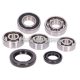 gearbox bearing set w/ oil seals for Honda Bali, Scoopy, SFX, X8R 50cc 2-stroke