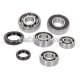 gearbox bearing set w/ oil seals for Hyosung 50cc 2-stroke, SB Cab, Supercab, Avanti, SF 50