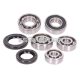 gearbox bearing set w/ oil seals for Yamaha X-Max, X-City, Aprilia Leonardo, Malaguti Madison 250-300 4-stroke LC